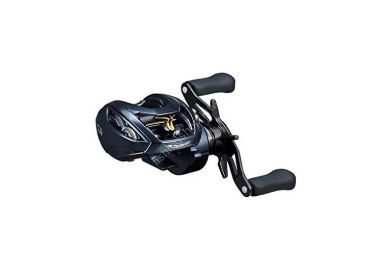 DAIWA Steez A II TW 1000L