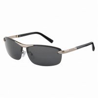 DAIWA DN-8035 Triacetate Polarized Glasses [Grey]