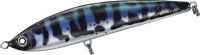 DAIWA Saltiga Cuddler 185F #Asian