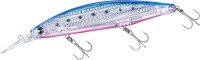 DAIWA Shore Line Shiner-Z Set Upper Fullback Laser Impact 125SDR-LI #LI Blue Pink Iwashi