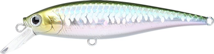 LUCKY CRAFT Pointer 78SP #MS Japan Shad