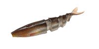 IMAKATSU Javalon Fly 65 Real Color (Feco) #S-243 Real Imae Wakasagi