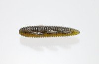 ISSEI Shizumi Mushi 2.6" #12 Katsu Ebi