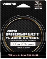VALLEYHILL Prospect Fluorocarbon 300m #6 (25lb)