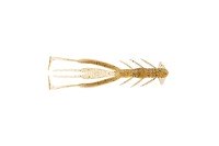 JACKALL Bleeker Jimmy Shrimp 3.8'' #Skew Shrimp