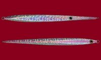 SMITH Side Thruster 120g #PL01 Shell Pink Line