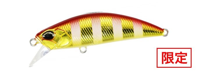 DUO Spearhead Ryuki 60S 6.5g SW #ASA4091 Akakin Zebra Glow