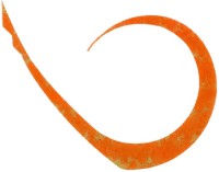 JACKALL BinBin Switch T+ Necktie MasterCurly #F-0341 Gorgeous Orange
