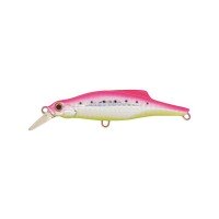 JACKSON PinTail 35 # PIC
