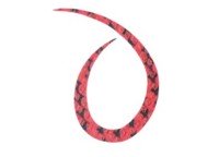 START Silicone Necktie Curly #30 红色斑马 (3个)