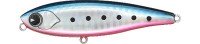 IMA Chappy 80 CP80-007 Blue Pink Sardine