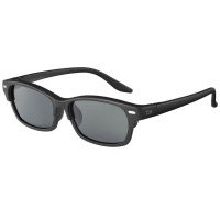 DAIWA DN-8055CH Interchangeable Lens Polarized Glasses [Gray]