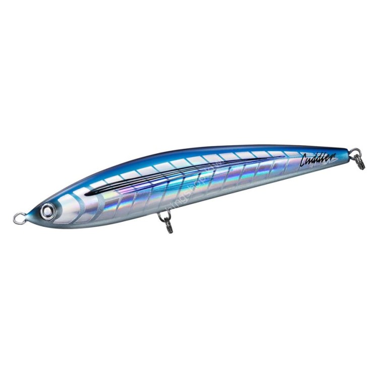 DAIWA Saltiga Cuddler 240F 129g #Tobi Kira