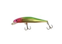WATERLAND Jerk Sonic 110F #23 镀金的佛罗里达州