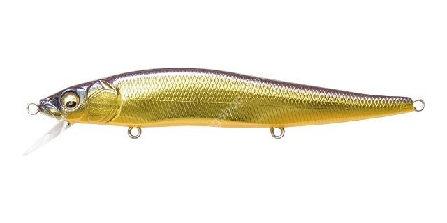 MEGABASS Vision Oneten #M Champagne Kinkuro