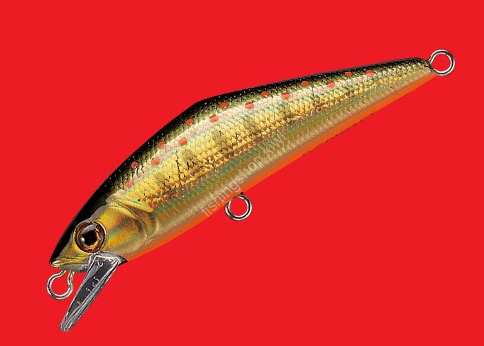 SMITH D-Contact 63 # 23 G Yamame