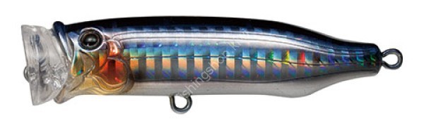 TACKLE HOUSE Feed. Popper CFP70SW #09 Seguro Katakuchi