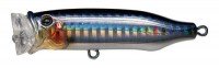 TACKLE HOUSE Feed. Popper CFP70SW #09 Seguro Katakuchi