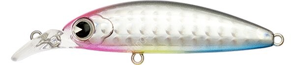 IMA Suiken 50S 6.0g #SIKN-002 Candy Belly