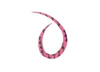 START Silicone Necktie Curly #31 粉红斑马 (3个)