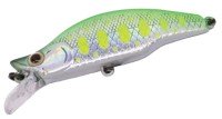 DAYSPROUT Rarkhamua 50HS #08 Green S Yamame Glow Belly