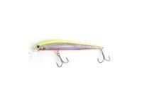 WATERLAND Jerk Sonic 110F #27 图表/银色 II