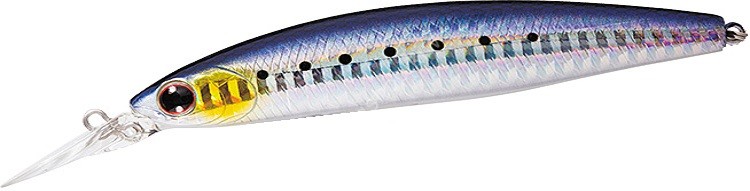 DAIWA Shore Line Shiner Z Set Upper 110S-DR #Laser Maiwashi