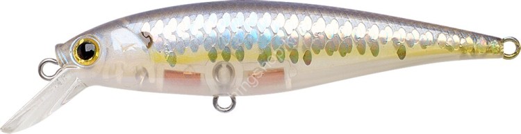 LUCKY CRAFT Pointer 78SP #MS Ghost Chartreuse Shad