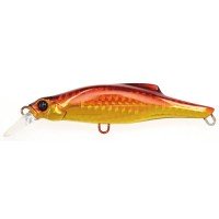 JACKSON PinTail 35 # WRD