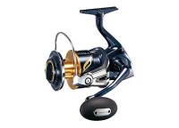 SHIMANO 19 Stella SW 10000PG