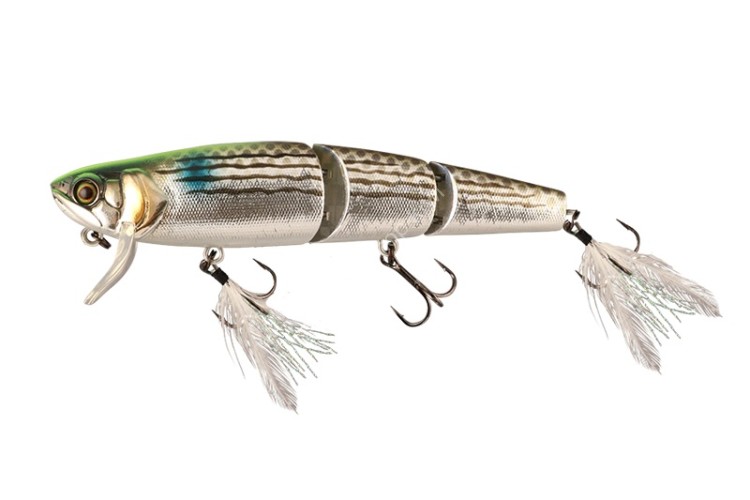 JACKALL Kawashi Mikey #Chart Back Bora Stripe