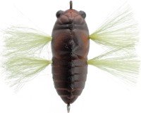 TIEMCO TT Soft Shell Tiny Cicada #TTSSTC-201 Buchin