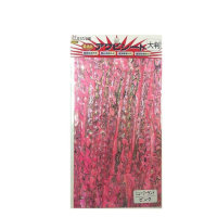 AWABI HONPO Abalone Sheet Large Format New Zealand / Pink