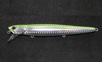 MUKAI x HUMP Gu:s 125F # Chart Back Orange Belly (Pearl)