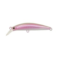 JACKSON PinTail EZ 28 # KIS