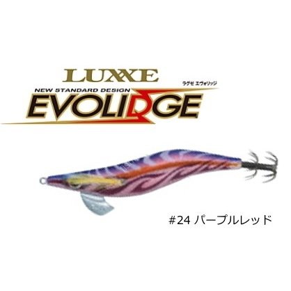 GAMAKATSU EVOLIDGE SHALLOW 2.5 No.24 Purple Red