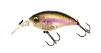 IMAKATSU Crank IKE-100F 8.0g Standard Color #932 Clear Lake Shad