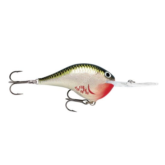 RAPALA DT (Dives To) 5cm 12g # DT6-BOS Lures buy at