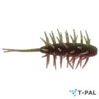 HIDE-UP Coike Shrimp Medium #249 Zaridappi