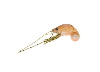 JACKSON Chinu Koroli 5.0g #SE Shibaebi (沉没)