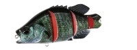 DUO Realis Dead Drift 95 #CCC3529 Butsugiru