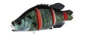 DUO Realis Dead Drift 95 #CCC3529 Butsugiru