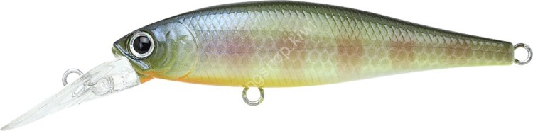 LUCKY CRAFT Pointer 65DD #BE Gill