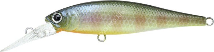 LUCKY CRAFT Pointer 65DD #BE Gill