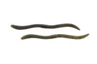 JACKALL Flick Shake 500 3.8'' #Double Gripan (10pcs)
