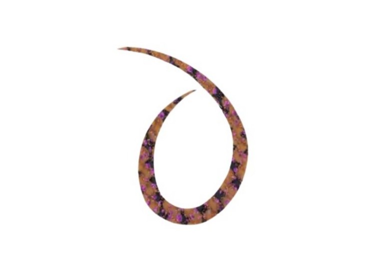 START Silicone Necktie Curly #35 不规则斑马 (3个)