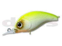 DEPS Korrigan SR 09 Chart Back