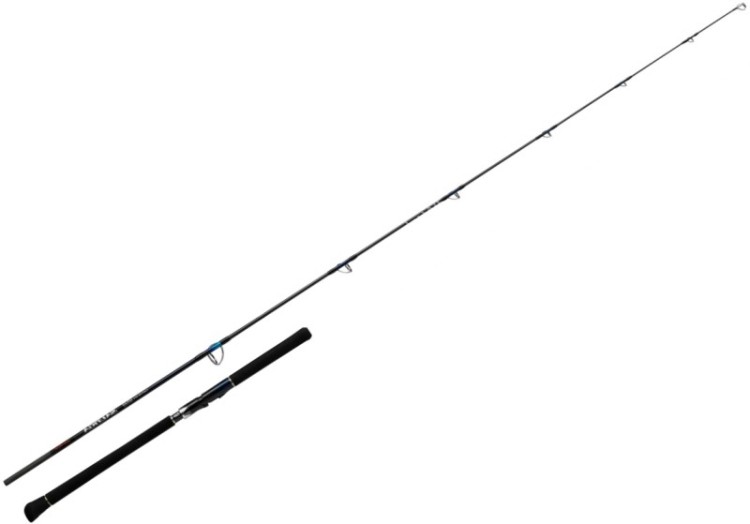 DAIWA Saltiga Breakthrough C81-10
