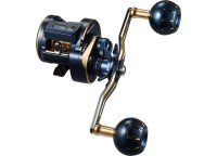 DAIWA 21 Saltiga IC 100HL-DH