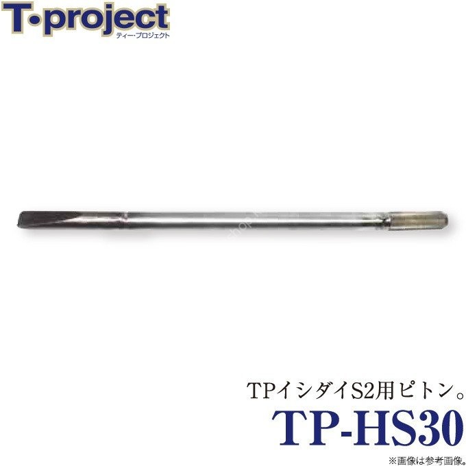 T-PROJECT TP-HS30